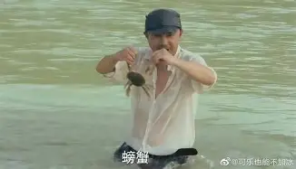 开云-尼斯与图卢兹法甲对决前瞻