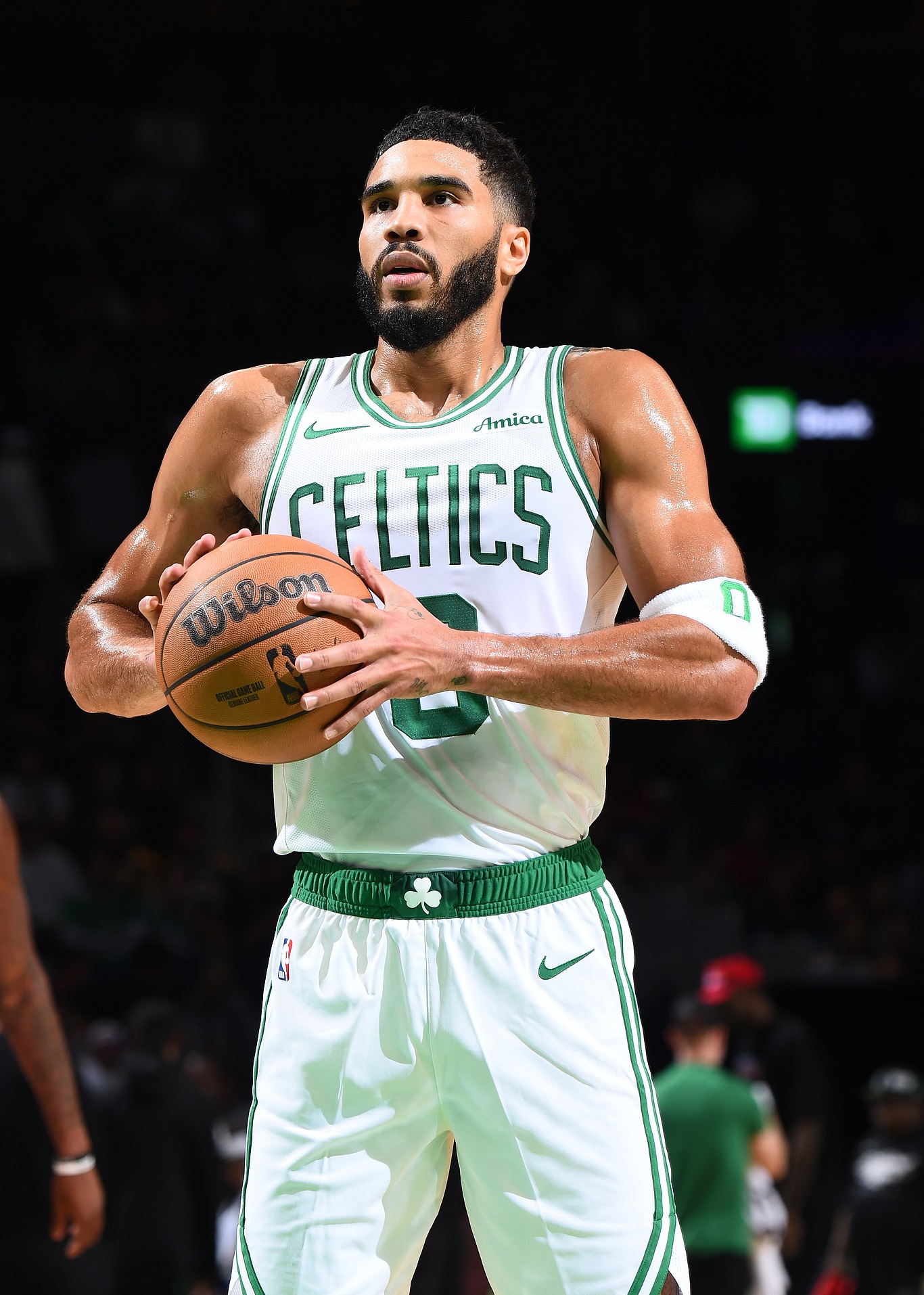 开云网页版登录入口-巴塞利斯蛇v3