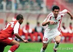 武甲联赛中的惊人进球,球迷沸腾狂欢是什么