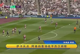 杜塞尔多夫战绩